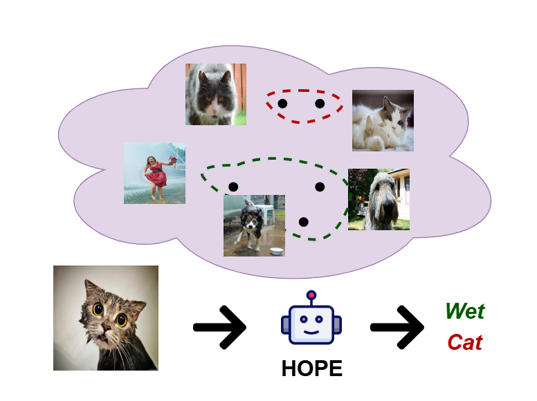 hope.png